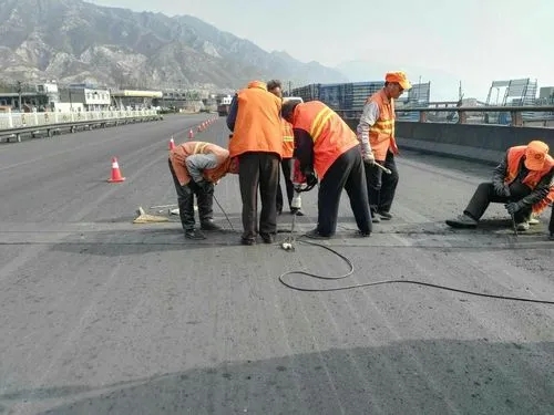 丘北道路桥梁病害治理